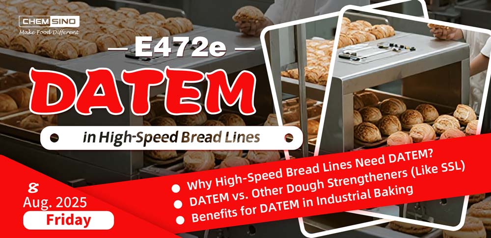 DATEM (E472e) in High-Speed Bread Lines